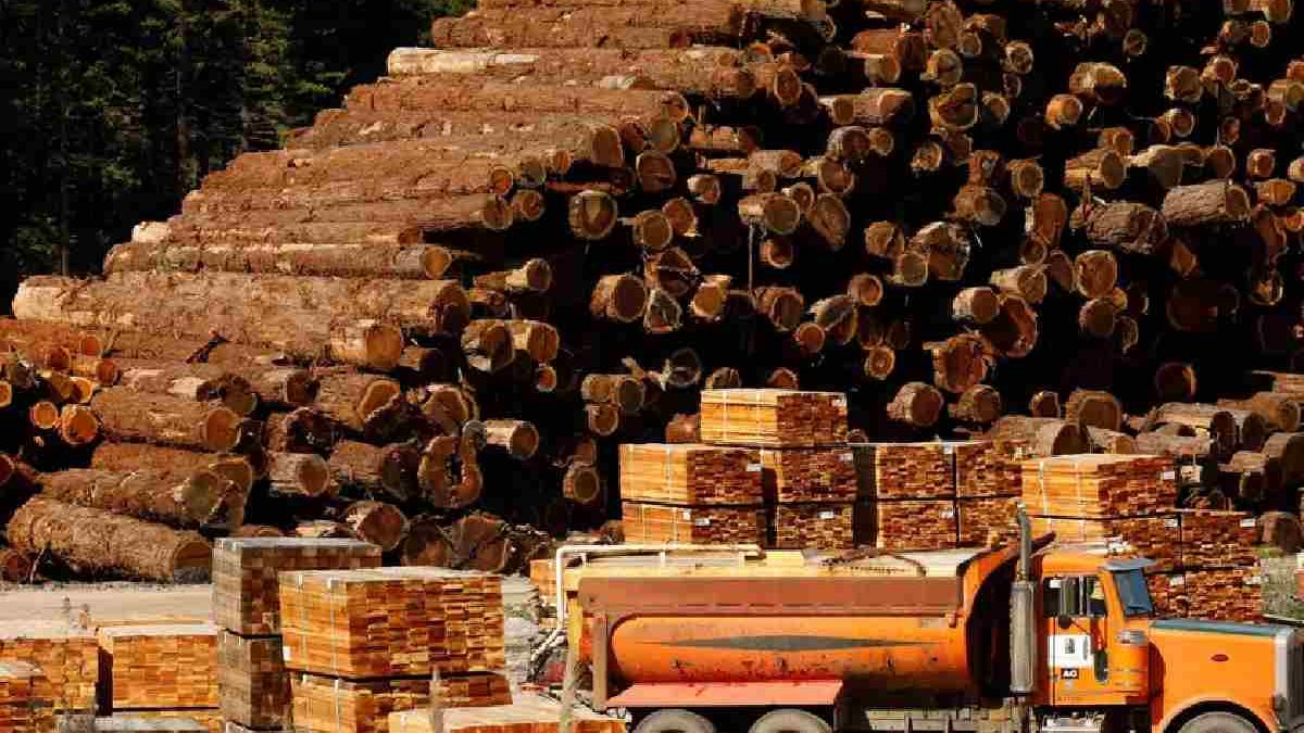 Navigating the Lumber Market: Strategies for Effective Estimating